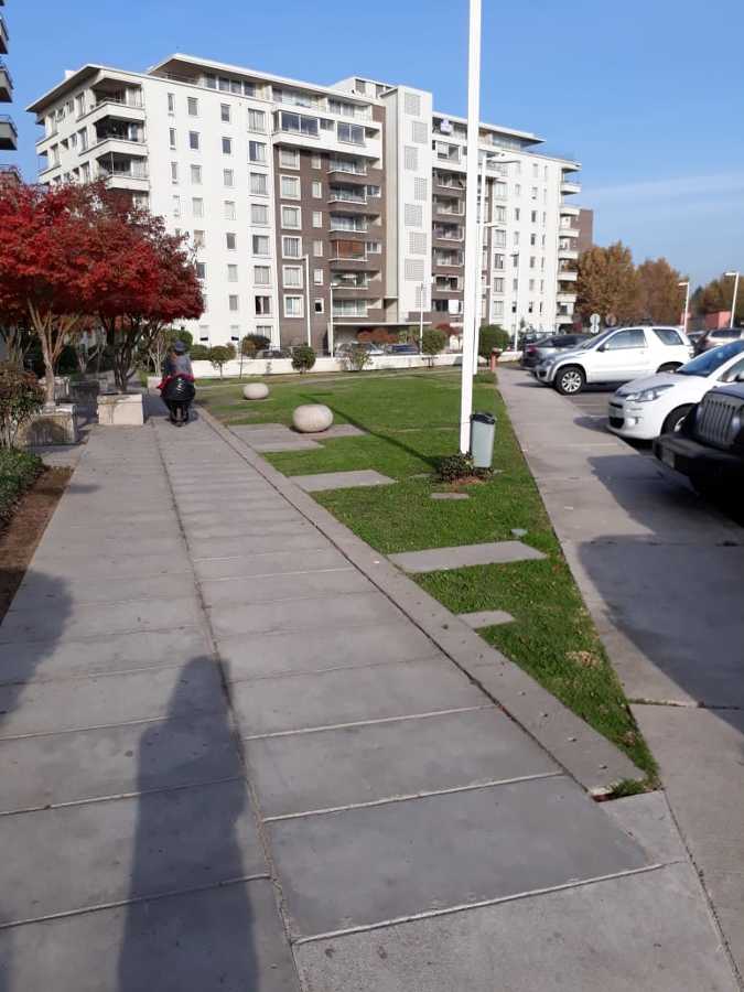 Trabajos de mantención en áreas verdes - condominios
