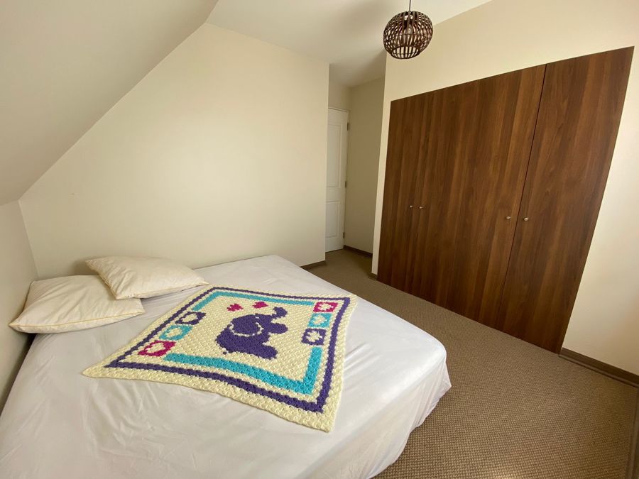 Limpieza Closet & Alfombra