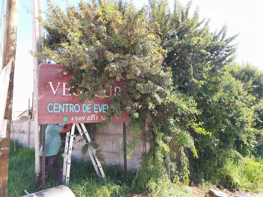 Restauración de Porton