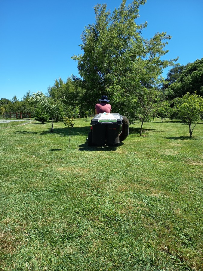 mantenimiento de cesped en parcelas