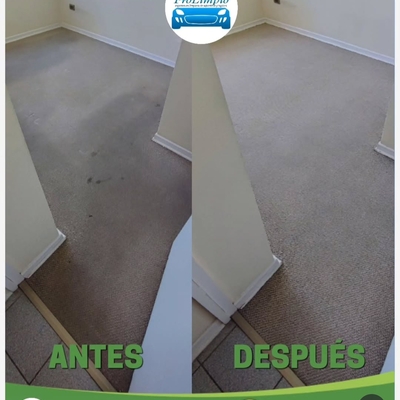 Limpieza de alfombras muro a muro