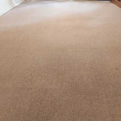 Sanitizacion alfombra