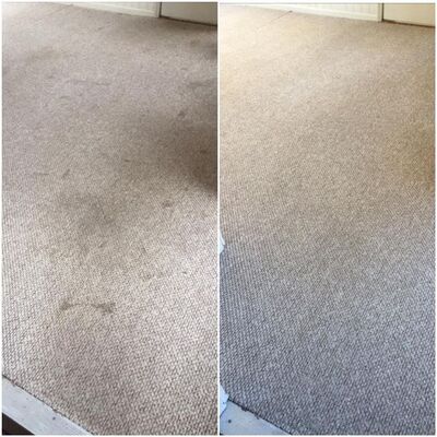 LAVADO DE ALFOMBRA ANTES Y DESPUES