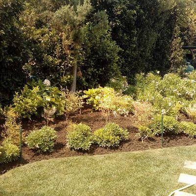 MANTENCIONES HERNANDEZ