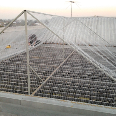 Sistema disuasivo de plagas de palomas.