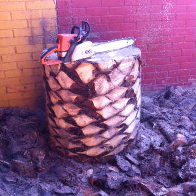 poda de palmera patio interior 