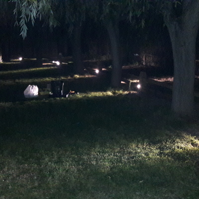proyecto de iluminacion de parcela lonquen