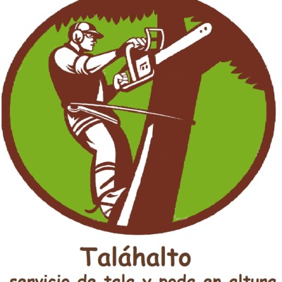 servicio de tala y poda de altura 