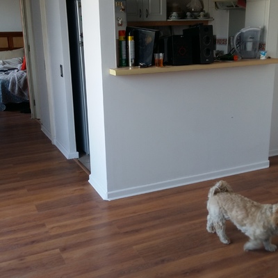 pasillo y uniones entre habitaciones