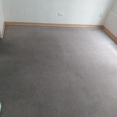Limpieza de alfombras