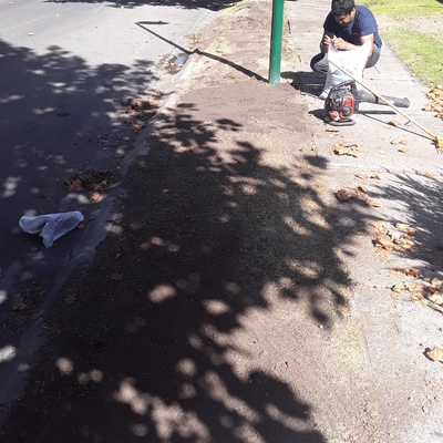 PREPARACIÓN TERRENO