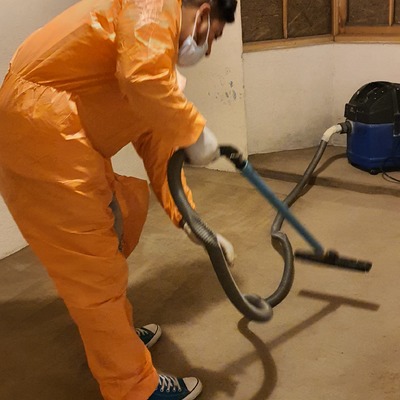 Limpieza de alfombras