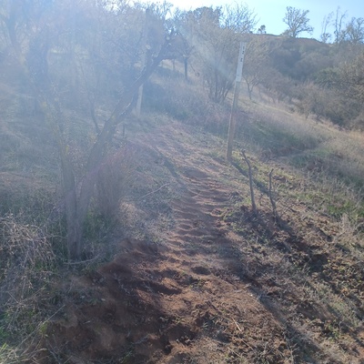 Preparación de terreno