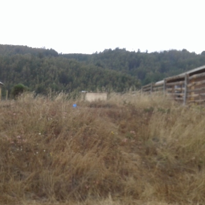 Así se recibe el lugar que se construye normalmente