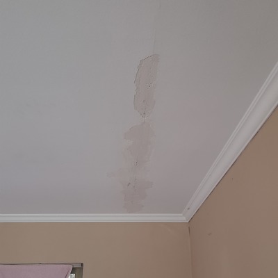 Reparación y pintado