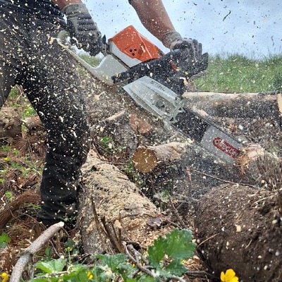 STHIL 462 HACIENDO LABORES DE TROZADO