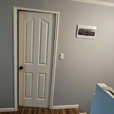 Puerta pieza principal