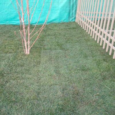 instalacion pasto alfombra en chamisero