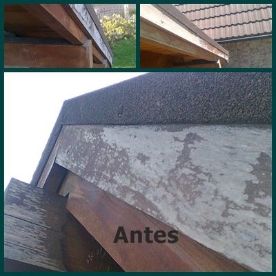 Reparación y teñido de aleros