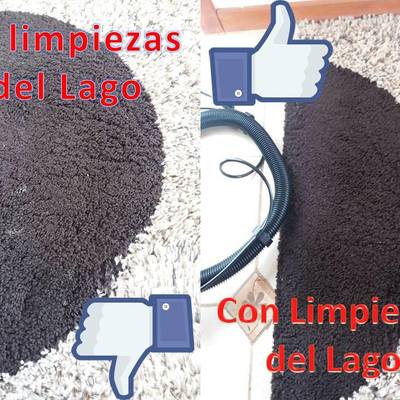 Limpieza de Alfombra