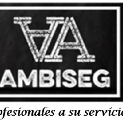 Ambiseg
