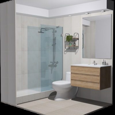 Remodelación Baños