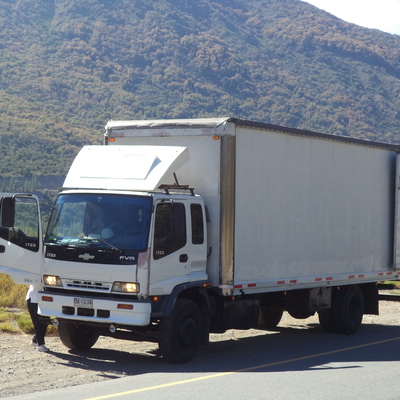 Camión de mudanza
