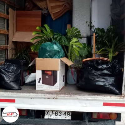 Traslado Plantas
