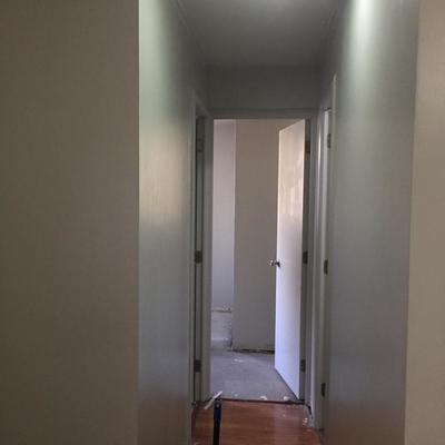 Reparacion y Pintura de Muros