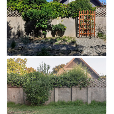 Reconversión de jardín