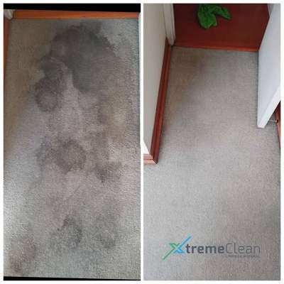 Limpieza de Alfombras Muro a Muro