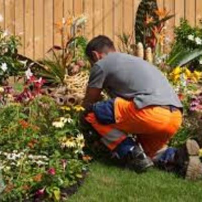 servicios de jardinería