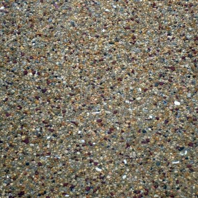 Grano de playa