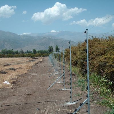 cerco electrico con antifosas