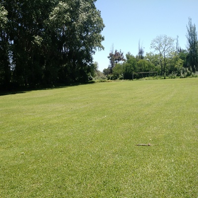 Siebra de pasto en cancha de futbol