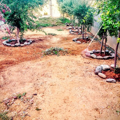 Control de malezas