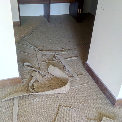 Alfombra