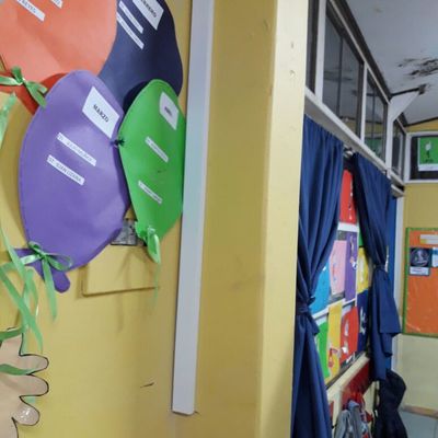 instalacion electrica escuela paine