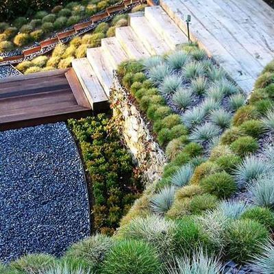 DISEÑO DE AREAS VERDES