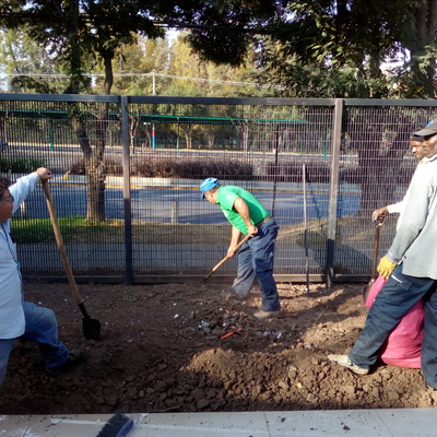 trabajando