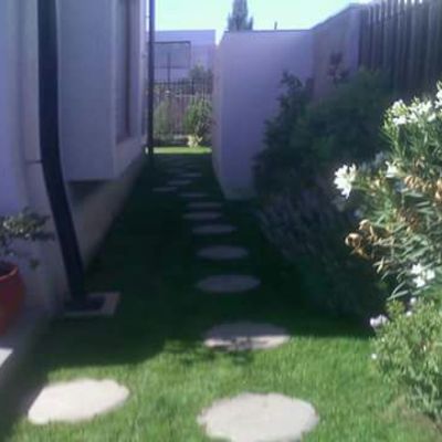 Jardin
