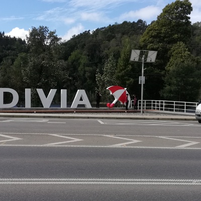 Transporte gipa en Valdivia