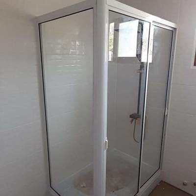 Shower door