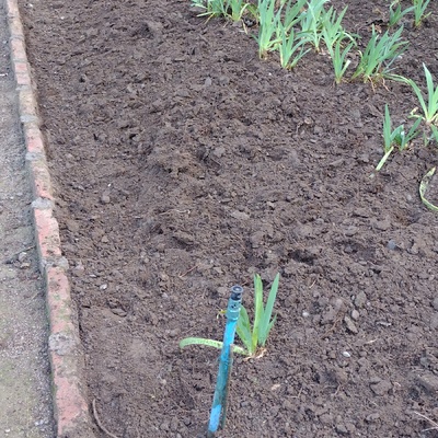 Movimiento de tierra