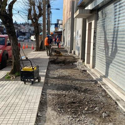 Preparacion de terreno para veredas