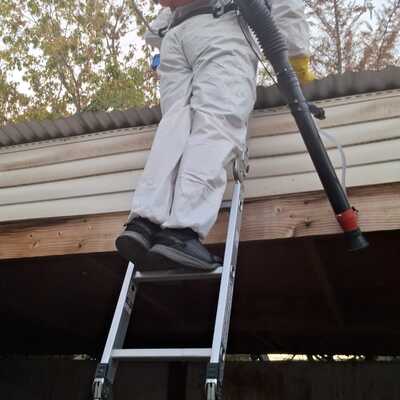 Casa invadida con Chinche del Arce