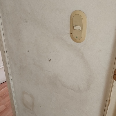 Pintura y cambio de piso flotante