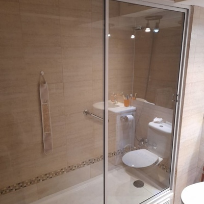 Shower door