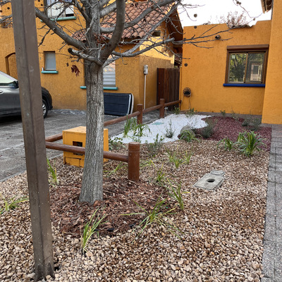 Proyecto Jardín Bajo Consumo