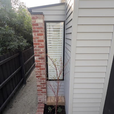 arbol y deck